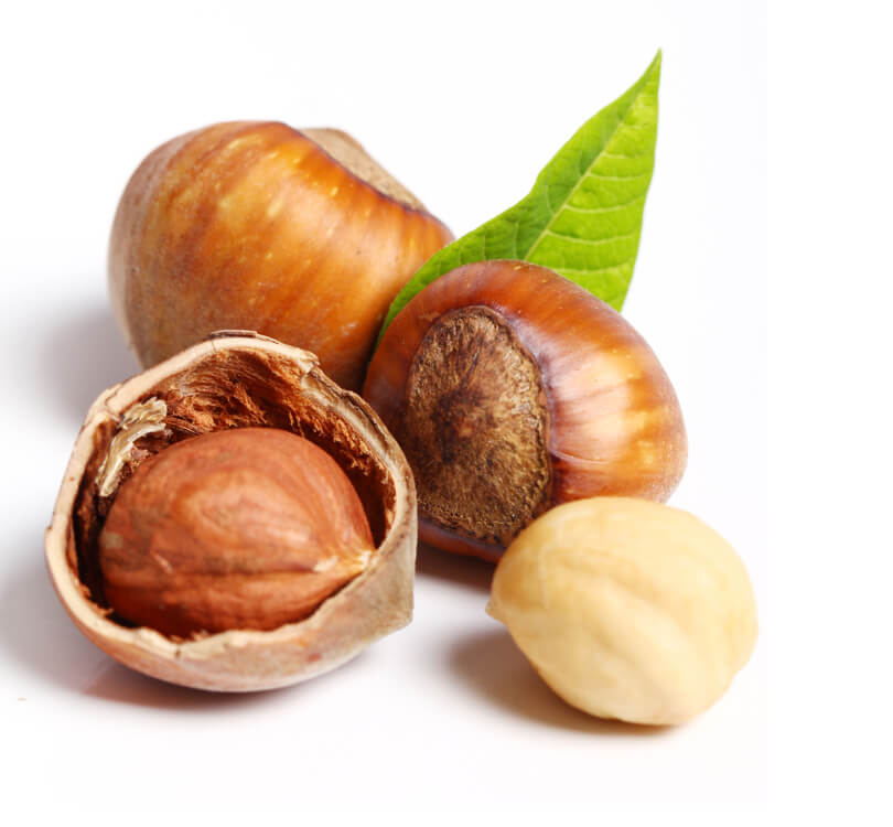 Chestnut Gold